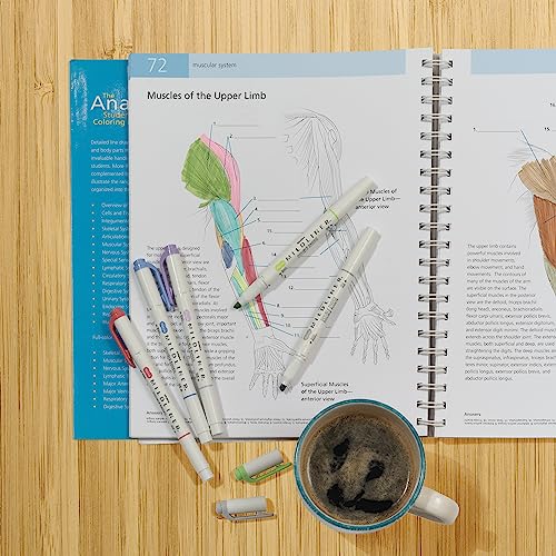 Zebra Pen PK Cool&REFIN Zebra Zensation Mildliner, Double Ended Highlighter, Broad and Fine Tips, Assorted Cool and Refined Colors, 5-Count, 5 Pack, Cool & Refined