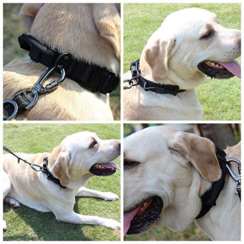 Tactical Dog Collar Military Dog Collar Adjustable Nylon Dog Collar Heavy Duty Metal Buckle with Handle for Dog Training ( Black ,M )