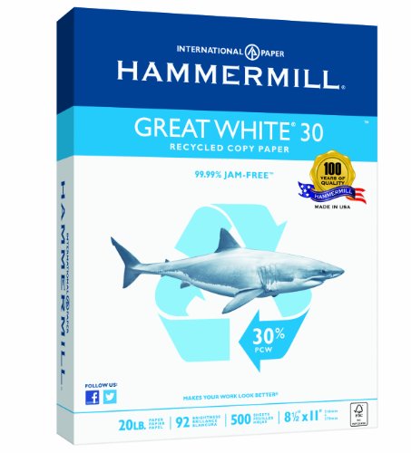 Hammermill Printer Paper, Great White 30% Recycled Paper, 8.5 x 11 - 1 Ream (500 Sheets) - 92 Bright, Made in the USA, 086710