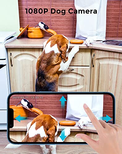 LaView PT Dog Camera Indoor,Camera for Home Security with Motion Detection,1080p WiFi Security Camera for Baby/Pet/Nanny,Night Vision,Compatible with Alexa,US Cloud Service,iOS & Android & Web Access