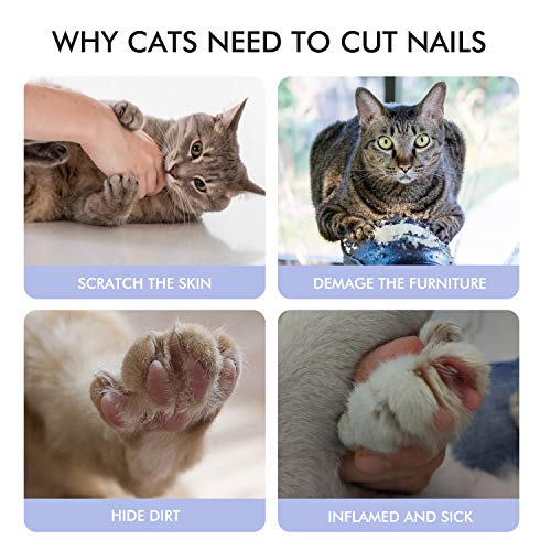 Pet Nail Clippers Trimmers PNC863 for Cats, Dogs, Puppies, Kittens, Hamsters, Rabbits and Small Animals, 25 Degree Curved Radian Design Claw Trimmer