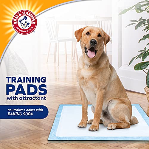 Arm & Hammer for Dogs Puppy Training Pads with Attractant | New & Improved Super Absorbent, Leak-Proof, Odor Control Quilted Puppy Pads with Baking Soda | 10 Count Bulk Wee Wee Pads