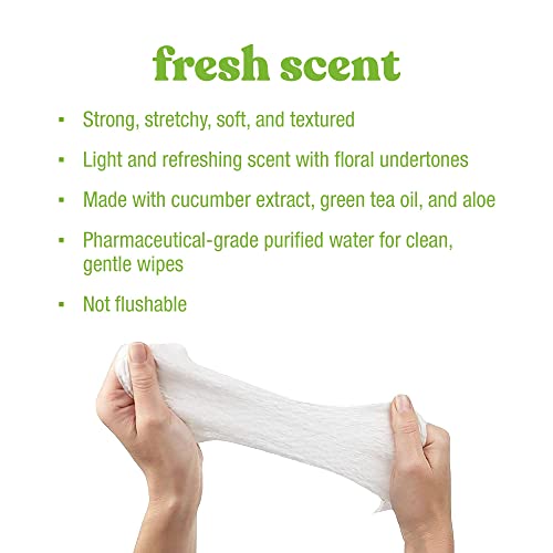 Amazon Elements Baby Wipes, Fresh Scent,White 720 Count Flip-Top Packs