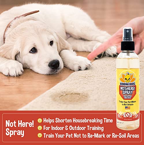Bodhi Dog Not Here! Spray | Trains Your Pet Where Not to Urinate | Repellent & Training Corrector for Puppies & Dogs | for Indoor & Outdoor Use | No More Marking | Made in The USA