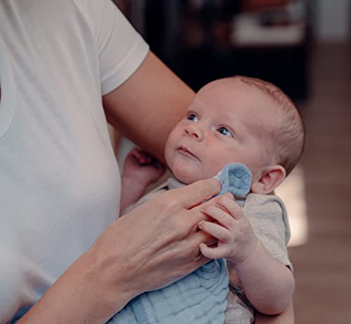 Muslin Burp Cloths 6 Pack Large 100% Cotton Hand Washcloths 6 Layers Extra Absorbent and Soft (Blue)