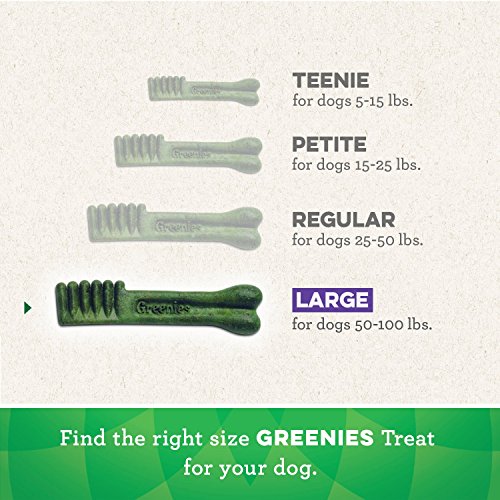 GREENIES Original Large Natural Dog Dental Care Chews Oral Health Dog Treats, 36 oz. Pack (24 Treats)