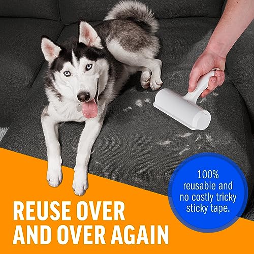 ChomChom Pet Hair Remover - Reusable Cat and Dog Hair Remover for Furniture, Couch, Carpet, Car Seats and Bedding - Eco-Friendly, Portable, Multi-Surface Lint Roller & Animal Fur Removal Tool