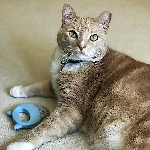 Leo's Paw The Original Pet Hair Removal Massaging Shell Comb Soft Deshedding Brush Grooming and Shedding Matted Fur Remover Dematting tool for Long and Short Hair Cat Dog Puppy Bunny (Blue)