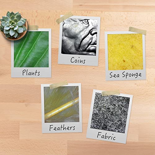 Plugable USB 2.0 Digital Microscope with Flexible Arm Observation Stand Compatible with Windows, Mac, Linux (2MP, 250x Magnification)