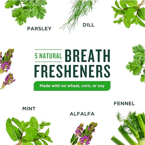 Minties VetIQ Dog Dental Bone Treats, Dental Chews for Medium/Large Dogs (Over 40 Lbs), 40 Count