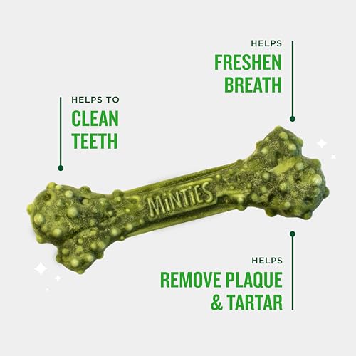 Minties VetIQ Dog Dental Bone Treats, Dental Chews for Medium/Large Dogs (Over 40 Lbs), 40 Count