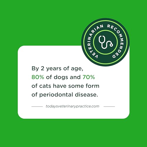 Minties VetIQ Dog Dental Bone Treats, Dental Chews for Medium/Large Dogs (Over 40 Lbs), 40 Count