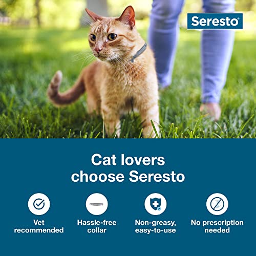 Seresto 2-Pack Flea and Tick Collar for Cats, 8-month Cat Flea Collars