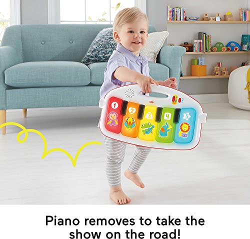 Fisher-Price Deluxe Kick 'n Play Piano Gym, Green, Gender Neutral (Frustration Free Packaging)
