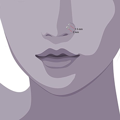 JewelrieShop 40pcs Nose Studs Stainless Steel CZ Nose Rings Stud Piercing Jewelry Bone Studs for Women Men Hypoallergenic 22G (2mm, Multi Colors)