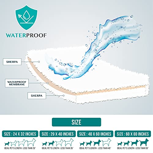 PetAmi Fluffy Waterproof Dog Blanket Fleece | Soft Warm Pet Fleece Throw for Small Dogs and Cats | Fuzzy Plush Sherpa Throw Furniture Protector Sofa Couch Bed (Beige Cream, 24x32)