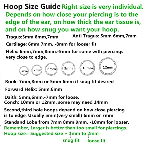 BLESSMYLOVE Clear CZ Silver 20G 8mm Nose Rings Hoop 316L Surgical Steel 20 gauge Cartilage Earrings Conch Daith Helix Rook Tragus Lobe Snug Body Piercing Jewelry Stainless Steel Hinged Segment Rings Lip Rings