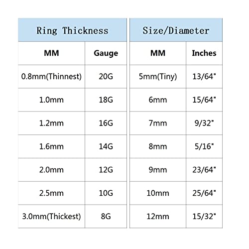 BLESSMYLOVE Clear CZ Silver 20G 8mm Nose Rings Hoop 316L Surgical Steel 20 gauge Cartilage Earrings Conch Daith Helix Rook Tragus Lobe Snug Body Piercing Jewelry Stainless Steel Hinged Segment Rings Lip Rings