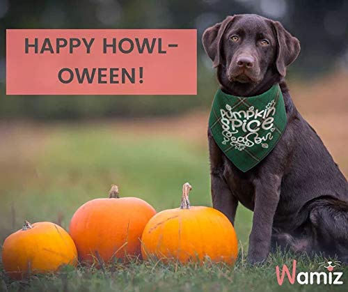 JPB Thanksgiving Dog Bandana,Fall Bandanas for Puppy Cat Small Large Dogs