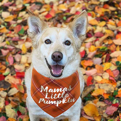 JPB Thanksgiving Dog Bandana,Fall Bandanas for Puppy Cat Small Large Dogs