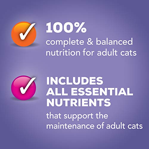 Purina Friskies Pate Wet Cat Food Variety Pack, Seafood & Chicken Pate Favorites - (5.5 Ounce (Pack of 40)