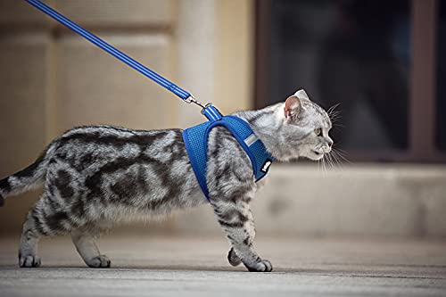 FDOYLCLC Cat Chest Adjustable Escape Proof Harness with Leash Set for Walking, Cat Best Vest Travel Outdoor Jacket, Comfortable Soft Mesh Cat Harness for Small Large Dog Kitten Rabbit