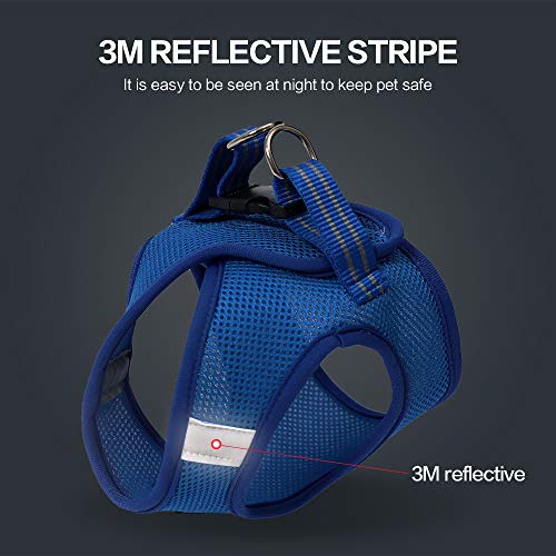 FDOYLCLC Cat Chest Adjustable Escape Proof Harness with Leash Set for Walking, Cat Best Vest Travel Outdoor Jacket, Comfortable Soft Mesh Cat Harness for Small Large Dog Kitten Rabbit