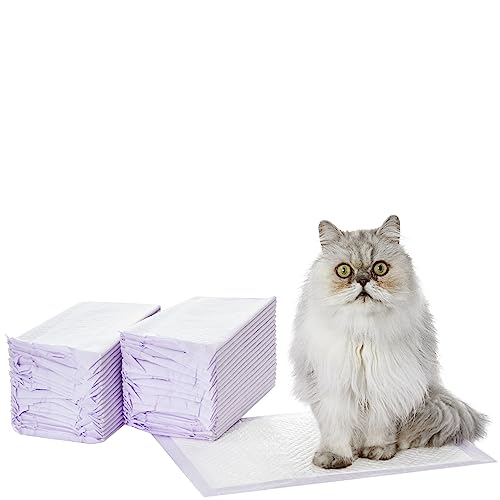 Amazon Basics Cat Pad Refills for Litter Box, Fresh Scent - Pack of 40