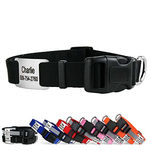 GoTags Personalized Dog Collar with Nameplate, Adjustable Dog Collar with Custom Engraved Slide On Pet ID Tag in Stainless Steel, Silent, No Noise Dog ID Tag