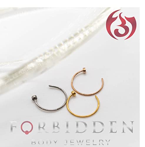 Forbidden Body Jewelry 18g 10mm Gold Tone Surgical Steel Perfect Basics Comfort Fit Nose Hoop