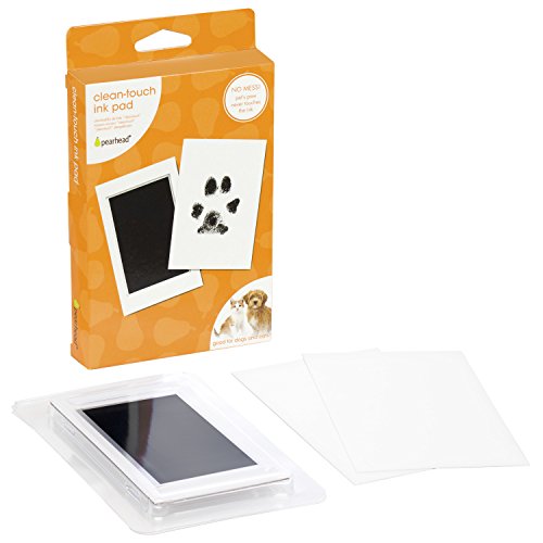 Small Pet Paw Print Ink Pad & Imprint Cards