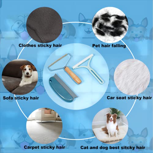 Eradicate Pet Hair with Portable Remover