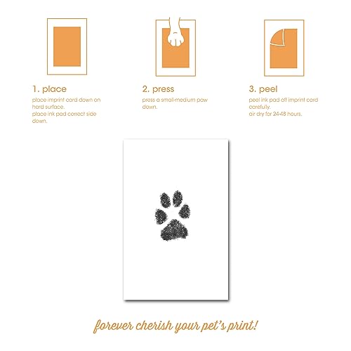 Small Pet Paw Print Ink Pad & Imprint Cards