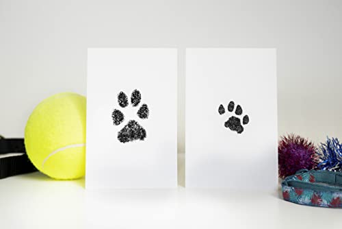 Small Pet Paw Print Ink Pad & Imprint Cards