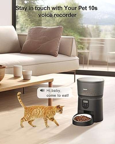 Katalic Automatic Cat Feeder: 4 Meals, 20 Portion Control