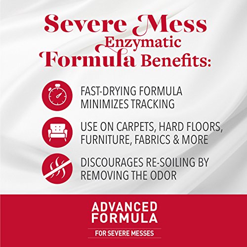 Nature’s Miracle Advanced Stain and Odor Eliminator Dog