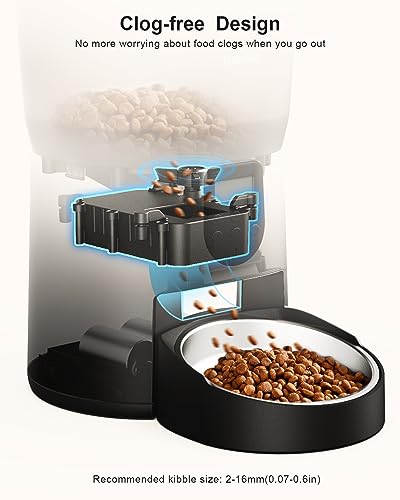 Katalic Automatic Cat Feeder: 4 Meals, 20 Portion Control