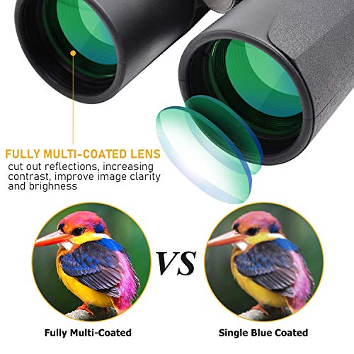 12x42 Binoculars for Adults - HD Low Light Night Vision - Compact Lightweight (1.05lb) - Powerful BAK4 Prism FMC Lens - Waterproof Binoculars for Bird Watching, Hunting, Sports -Phone Adapter Included