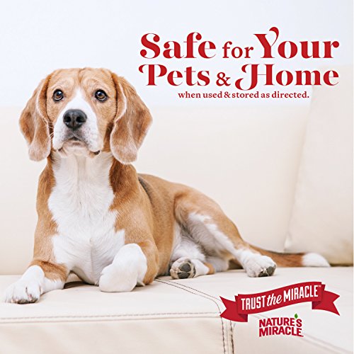 Nature’s Miracle Advanced Stain and Odor Eliminator Dog