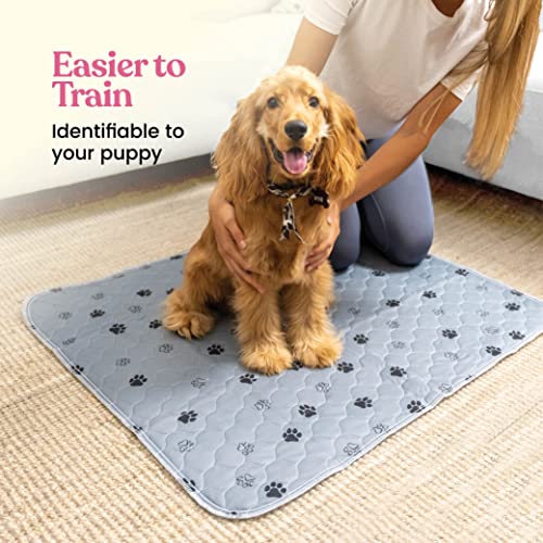 Super Absorbent Reusable Dog Pee Pads