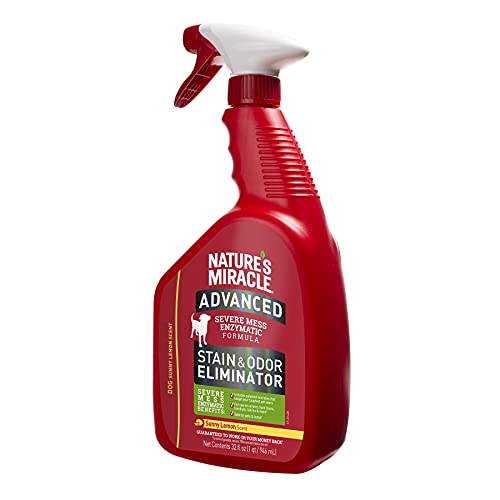Nature’s Miracle Advanced Stain and Odor Eliminator Dog