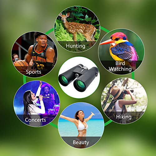 12x42 Binoculars for Adults - HD Low Light Night Vision - Compact Lightweight (1.05lb) - Powerful BAK4 Prism FMC Lens - Waterproof Binoculars for Bird Watching, Hunting, Sports -Phone Adapter Included