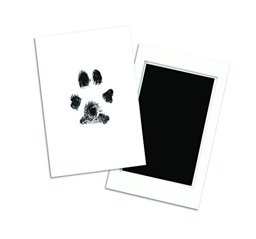 Small Pet Paw Print Ink Pad & Imprint Cards
