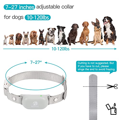 Bousnic Dog Shock Collar with Remote - Small Size for Dog 8-120lbs 1000ft Waterproof Rechargeable e Dog Training Collar for Small Medium Large Breed Dogs with Beep/Vibrate/Safe Shock & Indicator Light