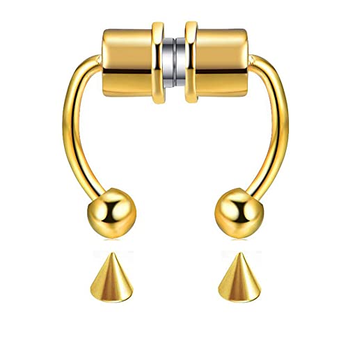 Magnetic Septum Nose Ring Horseshoe Fake Nose Ring Hoop Reusable Nose Ring Hoop Non-Piercing 316L Stainless Steel