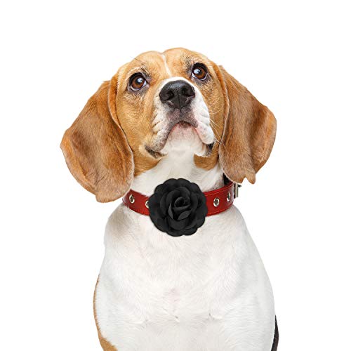 WILLBOND 4 Pieces Dog Collar Flowers Multicolored Pet Flower Bow Tie Dog Charms Flower Set for Puppy Dog Collar Cat Grooming Accessories (Black, Blue Black, Dark Purple, Black Purple)