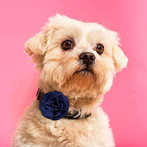 WILLBOND 4 Pieces Dog Collar Flowers Multicolored Pet Flower Bow Tie Dog Charms Flower Set for Puppy Dog Collar Cat Grooming Accessories (Black, Blue Black, Dark Purple, Black Purple)
