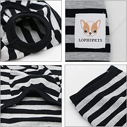 Lophipets 100% Cotton Striped Dog Shirts for Small Dogs Chihuahua Puppy Clothes Tank Vest-Black and Gray Strips/XXS