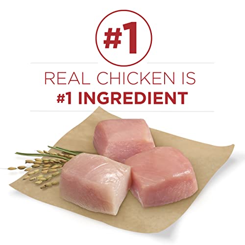 Purina ONE Natural Dry Dog Food, SmartBlend Chicken & Rice Formula - 40 lb. Bag