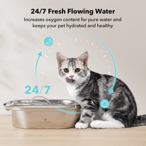 PETLIBRO Cat Water Fountain Stainless Steel, Super Quiet Adjustable Water Flow Pet Water Fountain, Dishwasher Safe 67oz/2L Dog Water Dispenser for Cats&Dogs